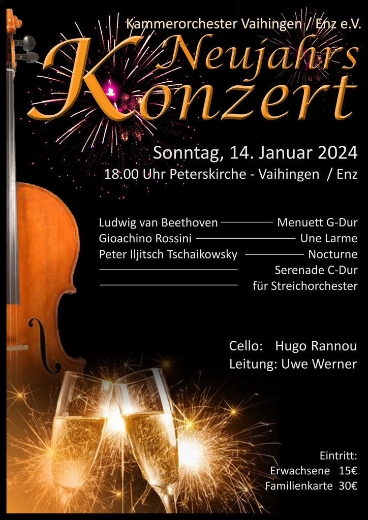 neujahrskonzert 2024 kammerorchester vaihingen enz